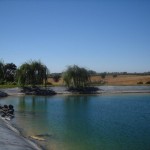 The reservoir at the Vogelzang Vineyard