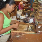 Cigar Roller in Cuba - 15th Habano Cigar Festival